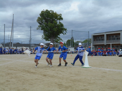 DSCN6527