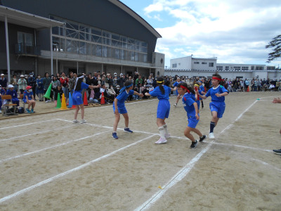 DSCN6533