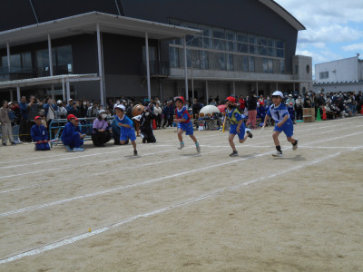 DSCN6442