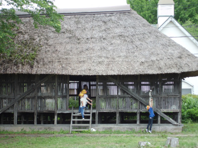 CIMG0264