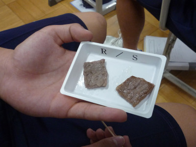 P1060375