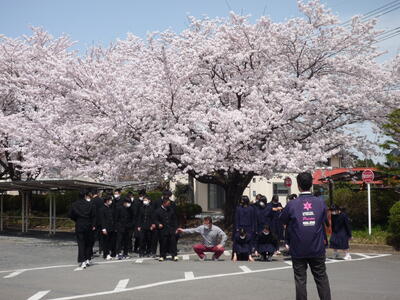 【咲き誇った桜の樹の下で記念撮影をする3年4組の皆さん】